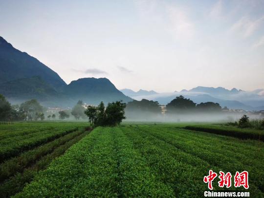 “霍童洞天”助力中國“洞天福地”申報(bào)世界文化遺產(chǎn)