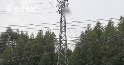 穿絕緣防蜂服爬高壓電塔摘蜂窩 男子仍電擊被困