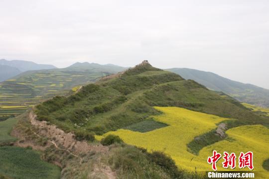 圖為青海省境內(nèi)明長城。青海省文物局供圖