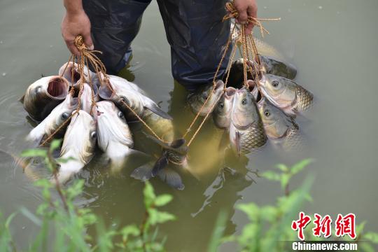 點擊進入下一頁